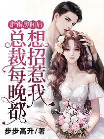 走错房间后总裁每晚都想招惹我讲的什么