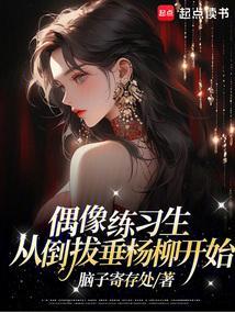 偶像练习生导演是谁