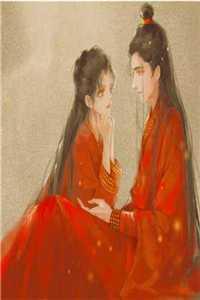 被小舅子坑