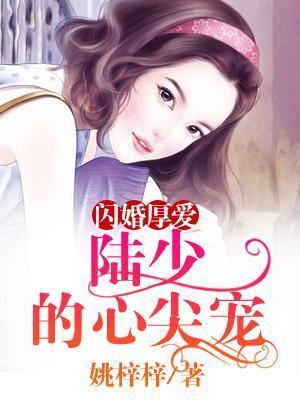 陆少闪婚厚爱陆深