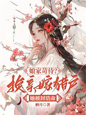 娘亲和离改嫁