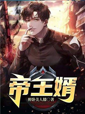 帝王婿在线看
