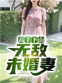 高手下山无敌未婚妻陈宁沈