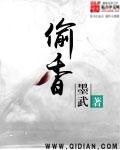 偷香高手在线观看