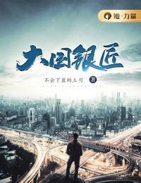 大国银匠免费阅读