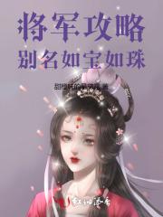 将军 攻略