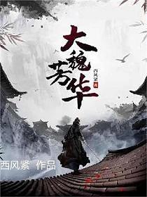 大魏芳华