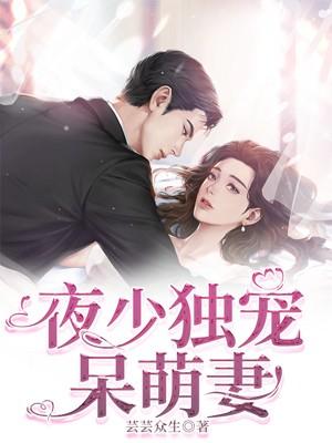 夜少独宠呆萌妻 夜少独宠呆萌妻