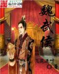 魏武侯 魏武侯