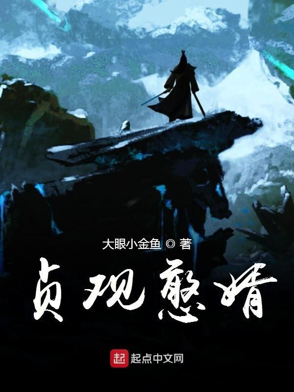贞观憨婿 贞观憨婿