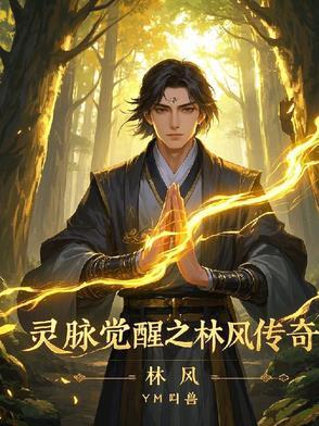 灵脉觉醒:林风传奇 灵脉觉醒:林风传奇