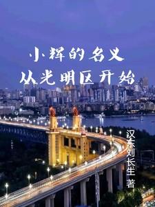 小辉的名义从光明区开始 小辉的名义从光明区开始