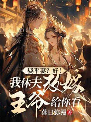 娶平妻?好!我休夫改嫁王爷给你看 娶平妻?好!我休夫改嫁王爷给你看
