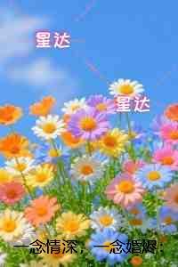 一念情深,一念婚烬:+后续+结局纯净无弹窗版 一念情深,一念婚烬:+后续+结局纯净无弹窗版
